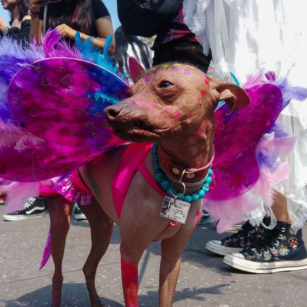 Caminata al Mictlán en CDMX